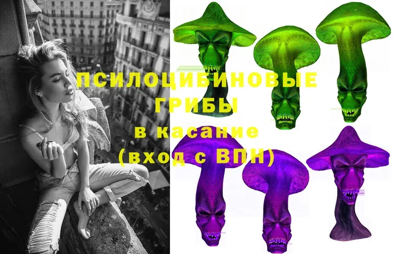 где купить наркоту  Терек  Псилоцибиновые грибы Psilocybine cubensis 